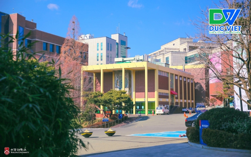 Sogang University : Điều Kiện, Học Phí, Học Bổng Và Review Chi Tiết Nhất