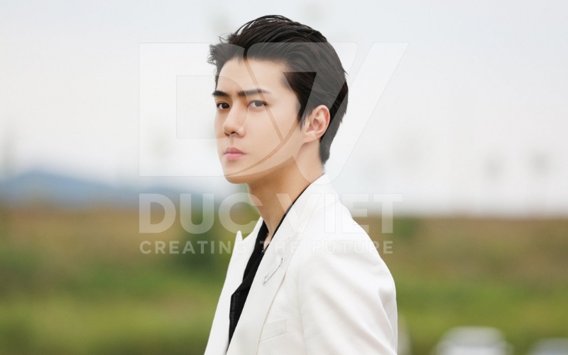 Trong Exo Sehun thường được gọi là Maknae Line